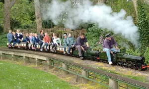 Public running steam train